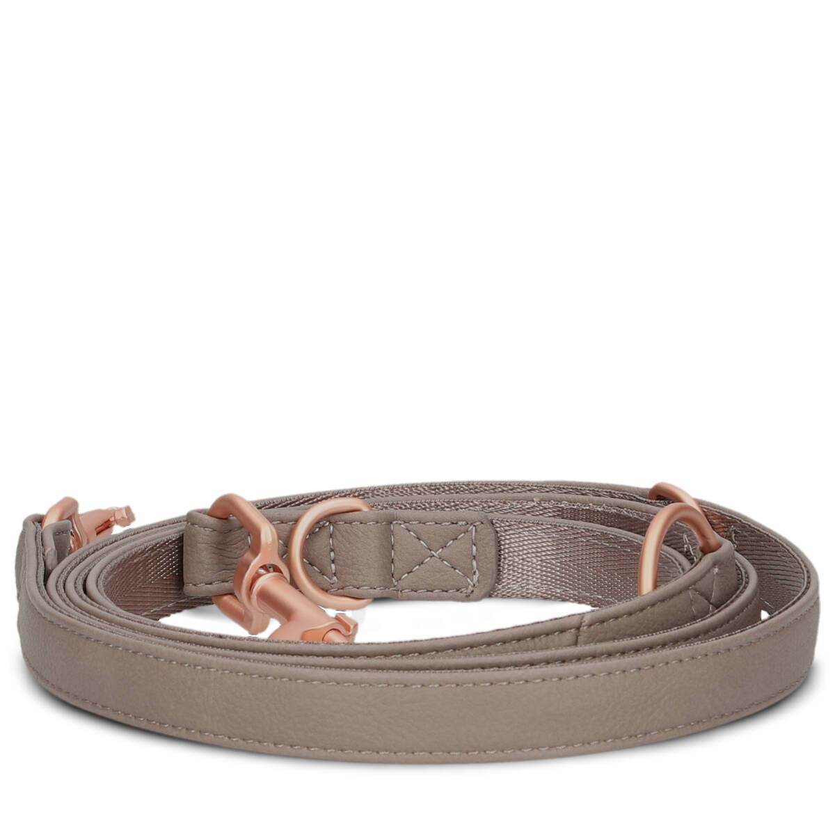 LupinePet Hundeleine Mit Schildkröten-Motiv – 1,8 M, 2,5 Cm Breit Für Große Hunde